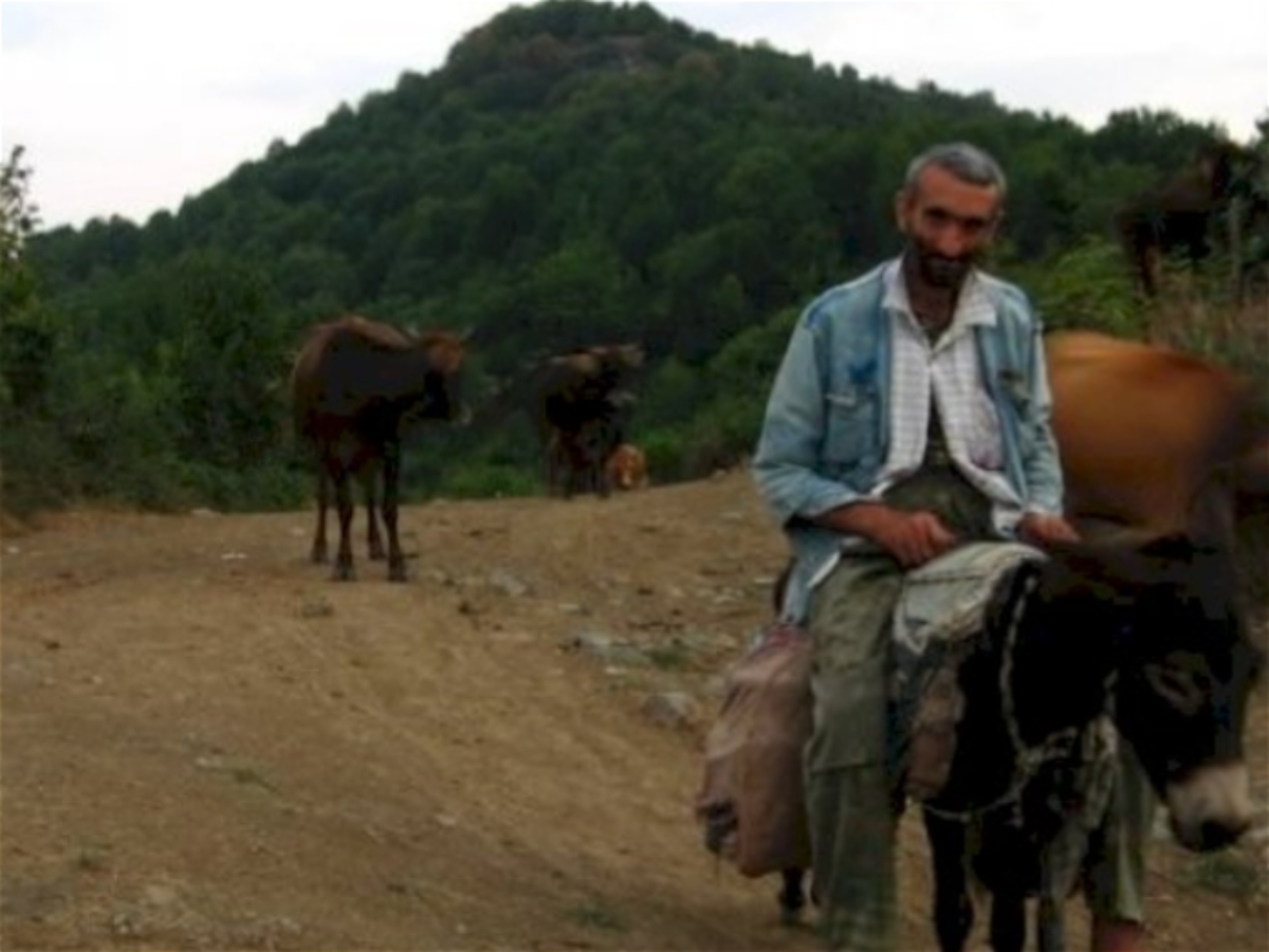 "Laçın və Zabux verilərsə, ermənilər Qarabağı, Xankəndini tərk edəcək…" 