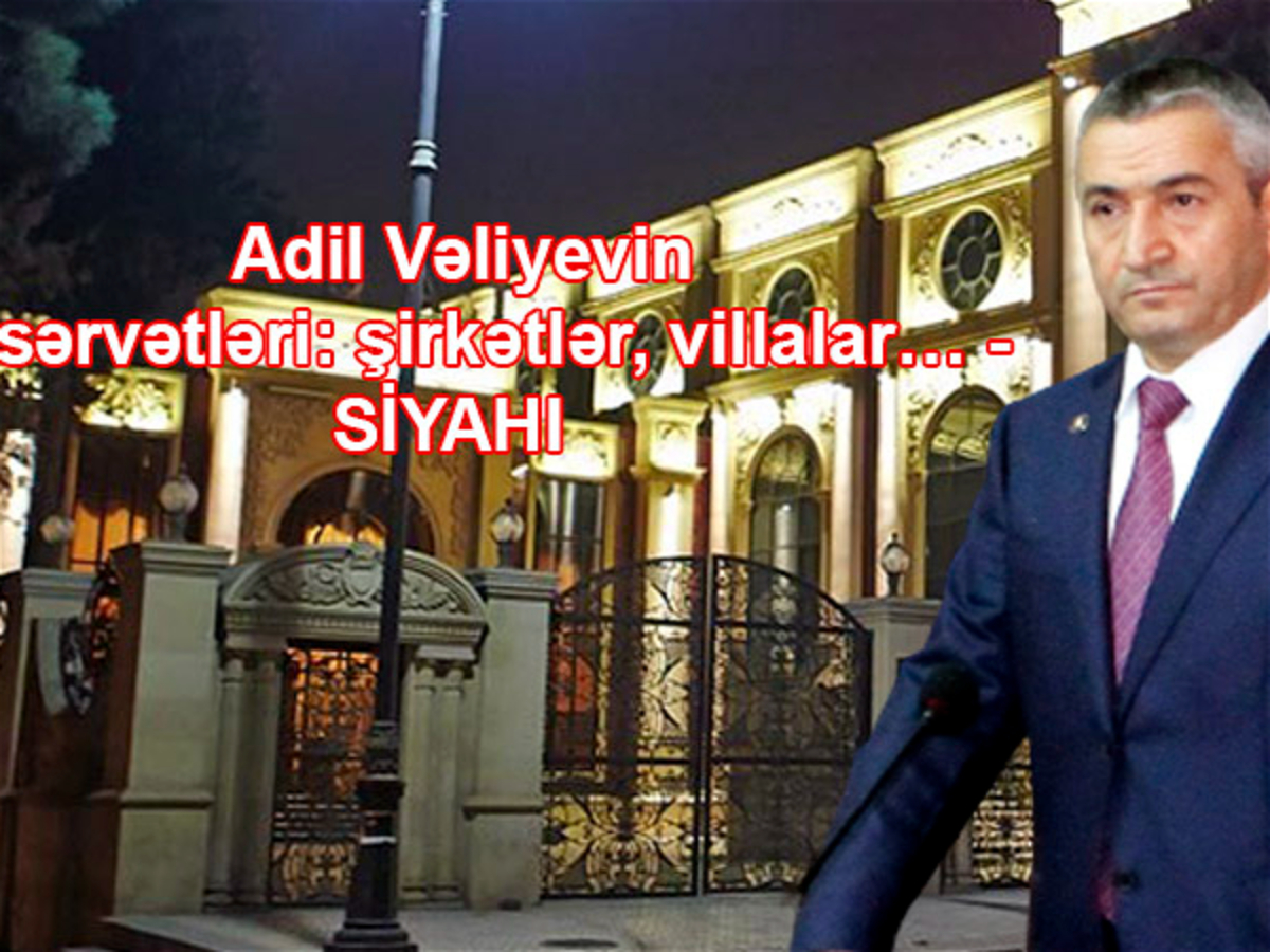 Adil Vəliyevin sərvətləri: şirkətlər, villalar 