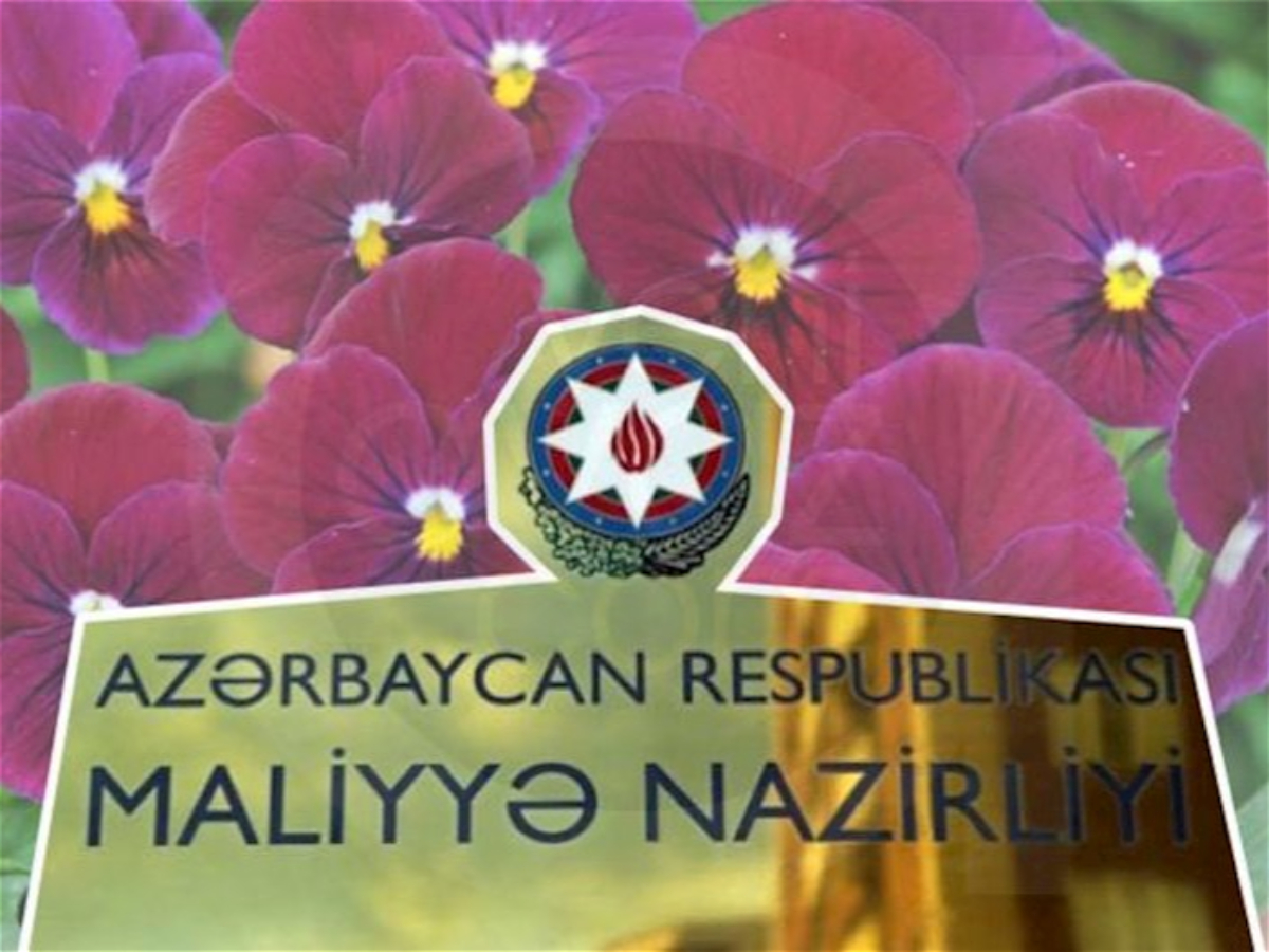 Baba Rzayevin qohumları Maliyyə Nazirliyinə olmayan gül növü satır? 