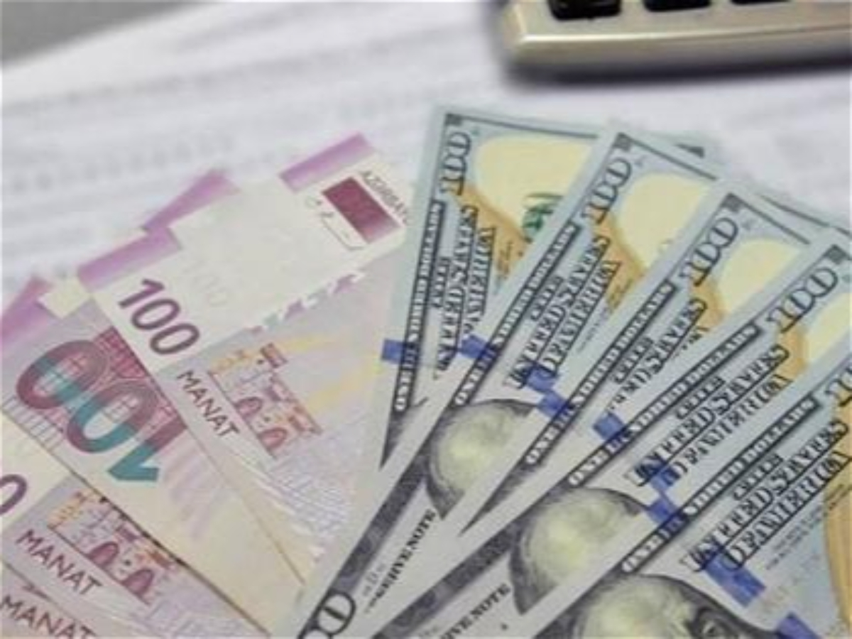 Dolların real məzənnəsi 1,1 manat olmalıdır 