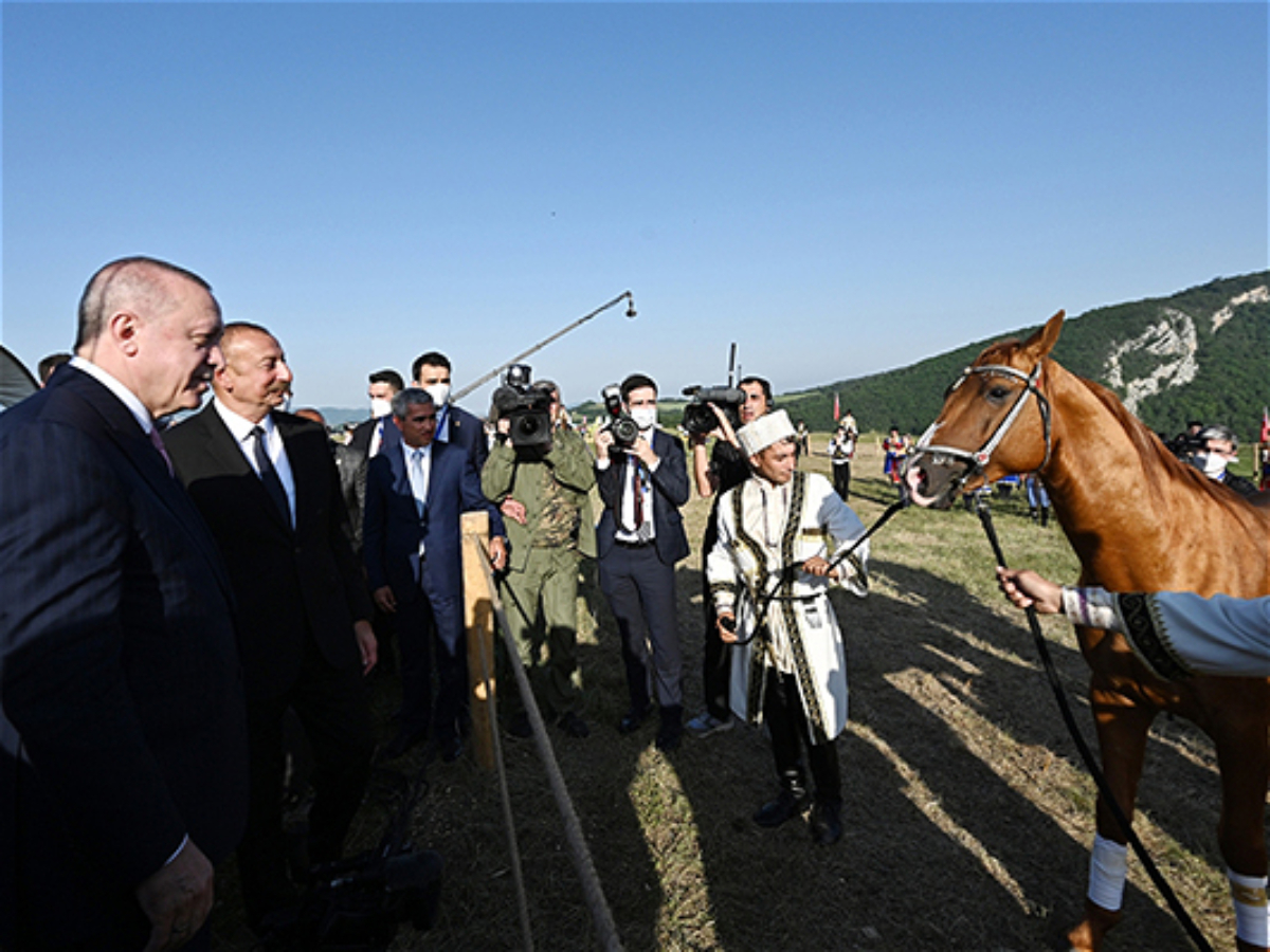 Ərdoğana hədiyyə edilən Qarabağ atının 