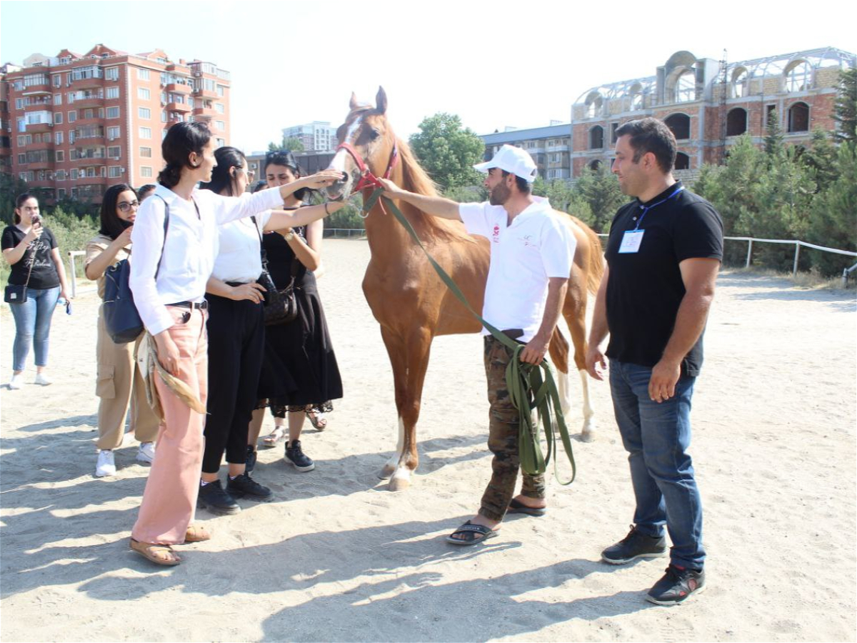 "Davam" "Qarabağ atları" layihəsinə start verib 